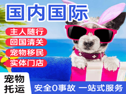 三源浦机场空运国际宠物托运 【国